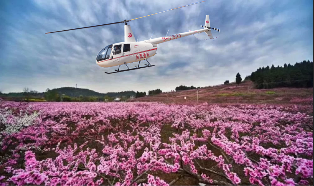 罗宾逊R44直升机