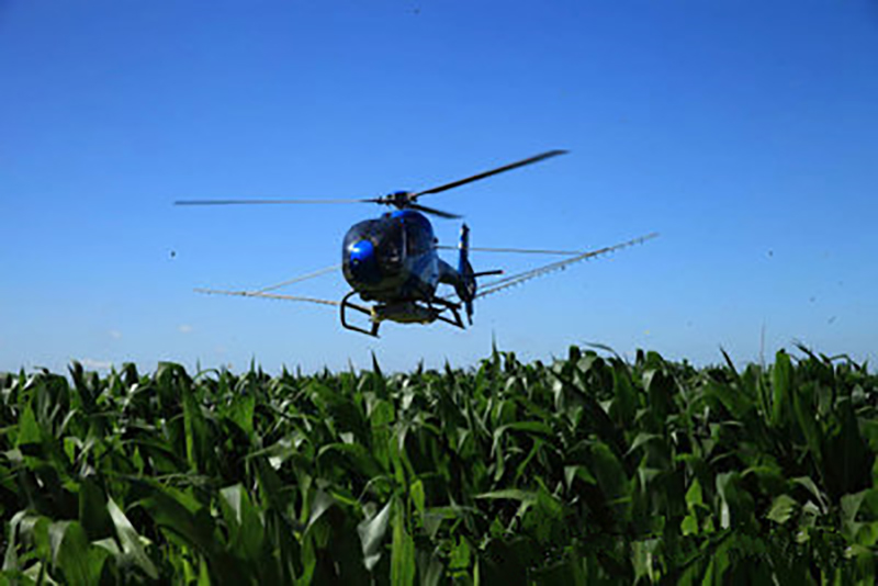 桓台玉米一防双减