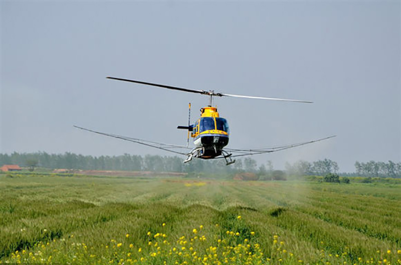 乐陵小麦病虫害防治